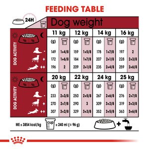 ROYAL CANIN® Medium Adult 7+ 15kg